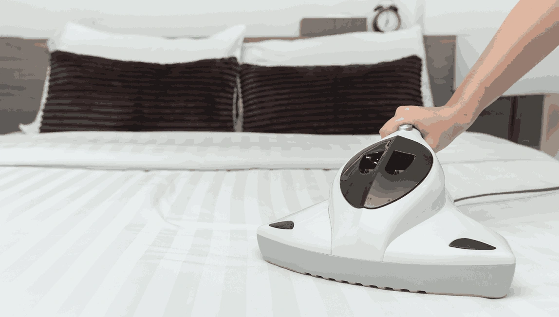 Professional Mattress Cleaning Wallace